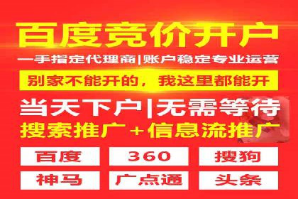 谷歌竞价广告的出价策略及某公司实践案例